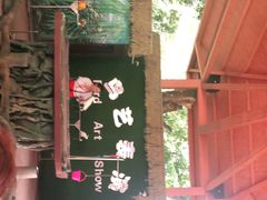 -西双版纳原始森林公园