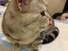 -萌兽医馆·犬猫专科·眼科中心·宠物医院(朝阳门分院)