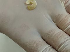-美联众合动物医院·24h京西诊疗中心