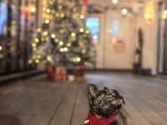 -EATALIA意塔利意式餐厅(鼓楼店)