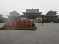 -大槐树寻根祭祖园