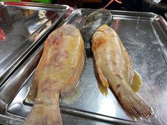 -兴隆华侨农场
