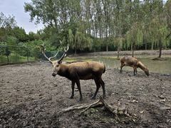 -溱湖国家湿地公园