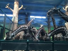 -鄂尔多斯野生动物园