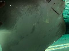 -新加坡水上探险乐园