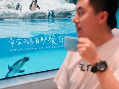 -帝企鹅自助餐厅•儿童岛•真企鹅(长隆企鹅酒店)