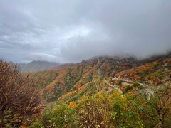 -白草畔自然风景区