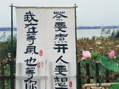 -莲花岛景区