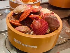 -龍歌自助小火锅(李沧丽达店)