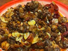 -柴窝堡22号辣子鸡·传承新疆菜