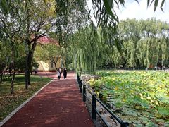 -黛秀湖公园