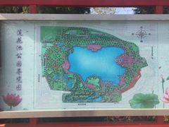 -莲花池公园