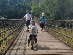 -南宁良凤江国家森林公园