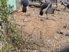 -无锡动物园·太湖欢乐园