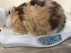 -荔康动物医院(康王北路店)