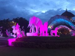 清迈夜间动物园-清迈夜间动物园
