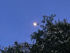 -长广溪湿地公园