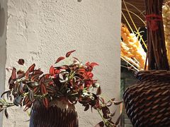 -云尊府云南菜·蒸汽石锅鱼(学清路店)