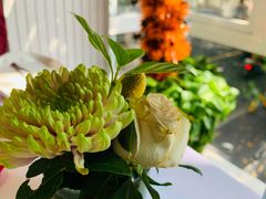 -蝶舍·MAISON PAPILLON