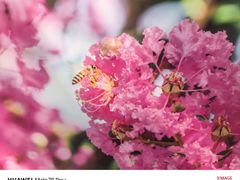 -杭州城北体育公园