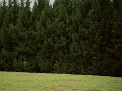 -汉长安城未央宫国家考古遗址公园