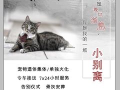 -苏州安宠宠物火化服务有限公司