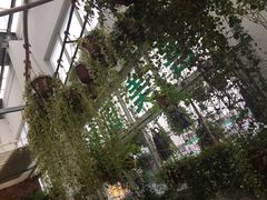 -龙大花卉苗木市场