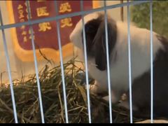-雨林宠物医院 非犬猫异宠专科