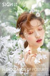 点击看大图 -弥雾·Nebula·西服婚纱定制