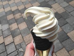 -仙境豆夫(步行街旗舰店)