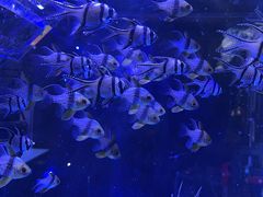 -海合安青岛极地海洋公园