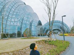 -上海植物园-4号门售票处