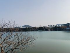 -羊山湖公园