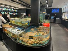 -龙宴海鲜城(经中路店)