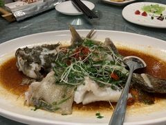 清蒸笋壳鱼-博多新记·粤菜(复兴店)