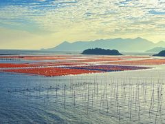-花竹村