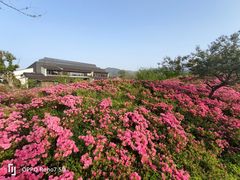 -雅达·阳羡溪山小镇中心