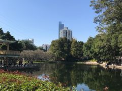 -晓港公园