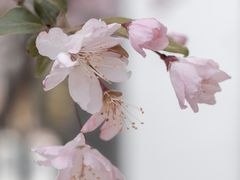 -济南国际园博园