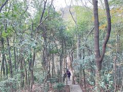 -上海佘山国家森林公园天马山园