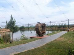 -鄱阳湖国家湿地公园
