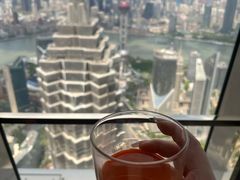 -上海柏悦酒店