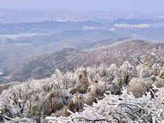 -紫金山山顶公园