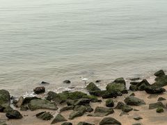 -深圳湾公园(南山区)