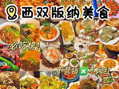 -西双版纳原始森林公园