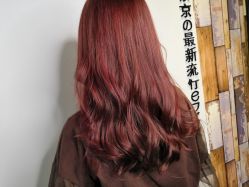 -藤野造型