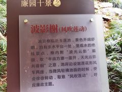 -汇龙潭