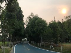 -夏河溪乡野公园