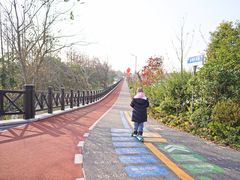 -上海长兴岛郊野公园