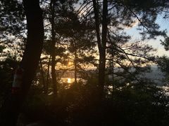 -千岛湖天屿景区